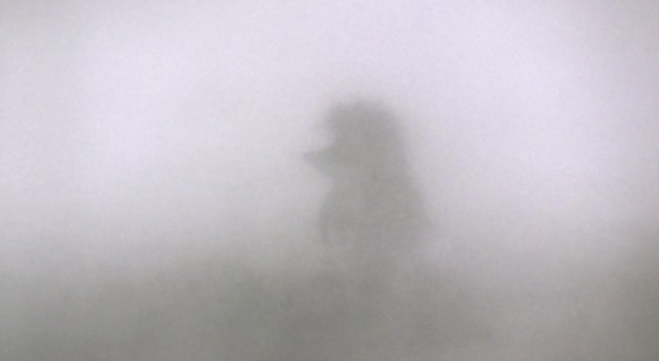 метафора человека в тумане